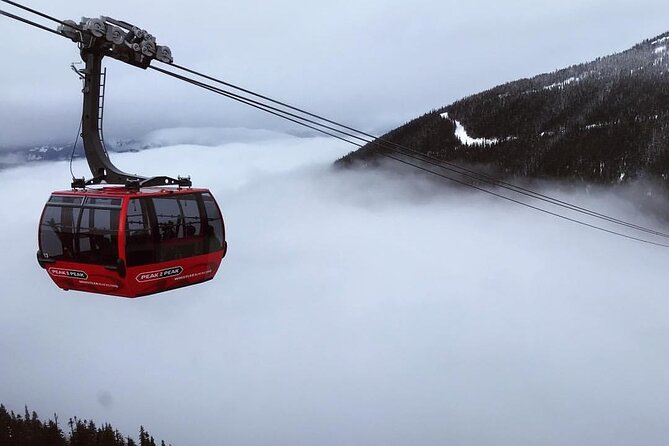 Whistler 1-Day Tour from Vancouver (Chn&Eng) - Peak 2 Peak Gondola: the biggest decision you make