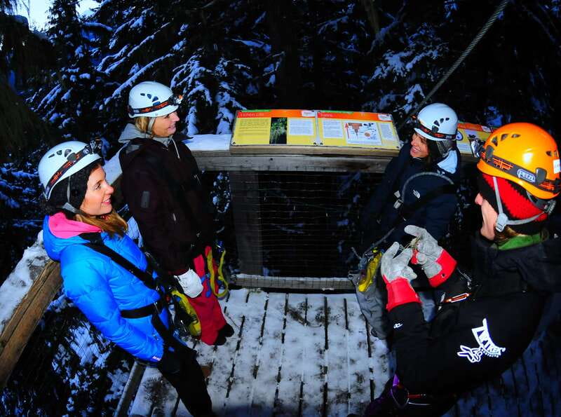 Whistler: 2-Hour Evening Zip Line Adventure - The view from midair, plus what the guides teach