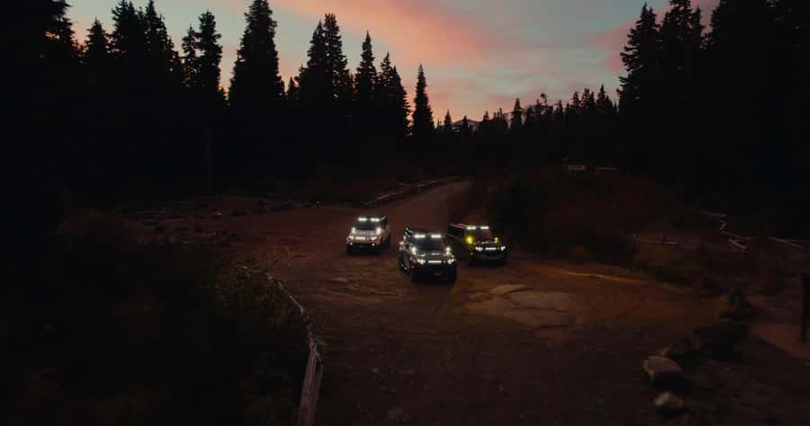 Whistler: Afternoon Bears Spotting Tour in Land Rover - Photography Tips for Off-Road Wildlife Moments