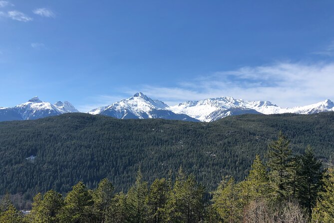 Whistler and Sea to Sky Gondola, a Fire and Ice Discovery Tour - Priority Gondola Access at Habrich Ridge: The Most Time-Efficient Part