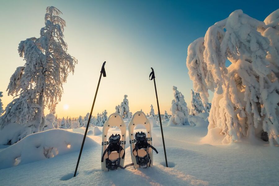 Whistler: Backcountry Snowshoeing Tour with Guide - Who This Tour Suits Best, and Who Should Skip It