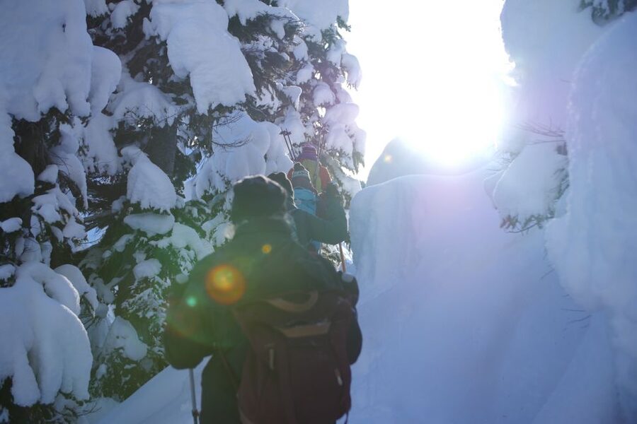 Whistler: Backcountry Snowshoeing Tour with Guide - Whistler Backcountry Snowshoeing: Why It Works as a Half-Day Getaway
