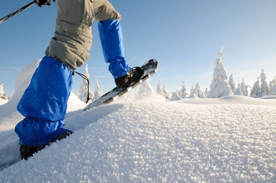 Whistler: Backcountry Snowshoeing Tour with Guide - What You Actually Do During 4 to 8 Hours Outside