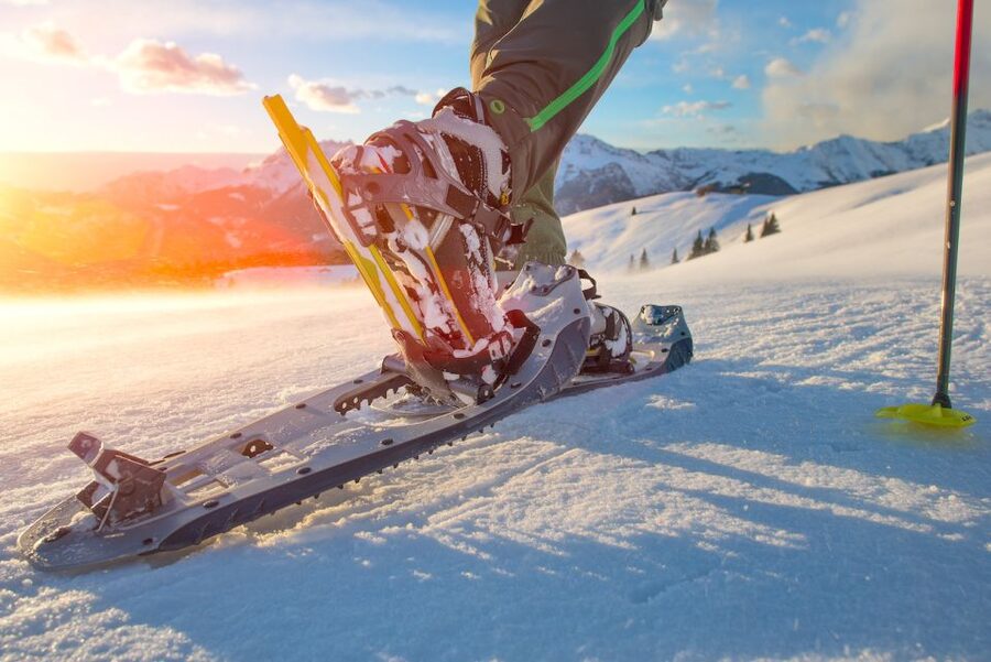 Whistler: Backcountry Snowshoeing Tour with Guide - Old-Growth Cedars and the Geology Story You Get On the Trail