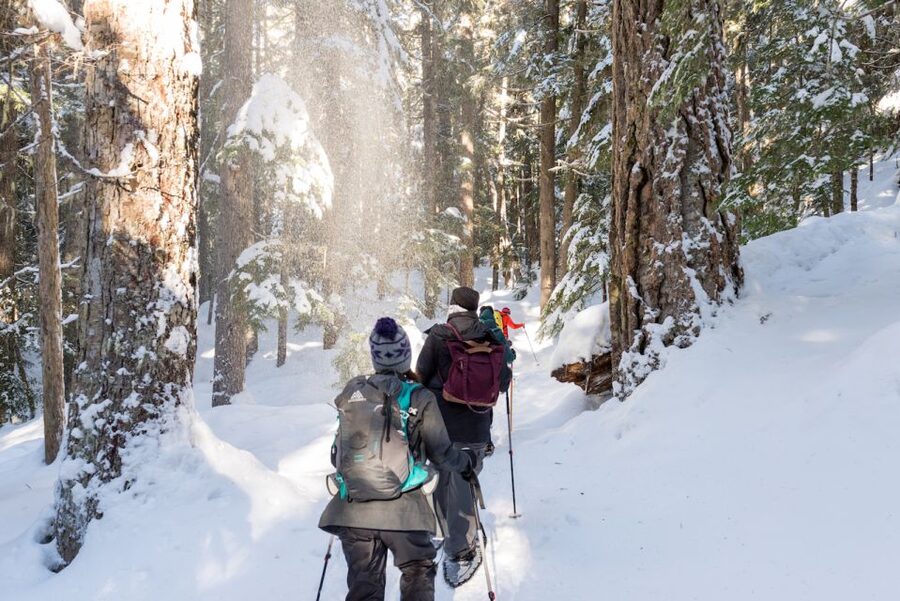 Whistler: Backcountry Snowshoeing Tour with Guide - The Guide Makes the Difference, From Nick to Lindsey to Jen