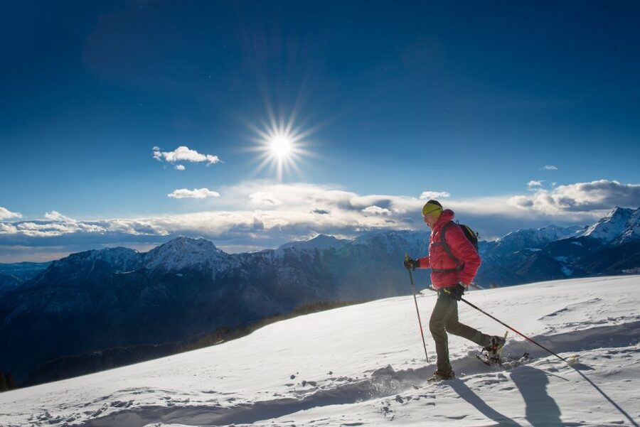 Whistler: Backcountry Snowshoeing Tour with Guide - Price and Value: What $91 Buys You in Whistler Winter