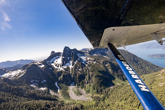 Whistler Glacier Spectacular: Scenic Seaplane Sightseeing Tour - Meeting Point, Arrival Time, and the Real Check-In Rule