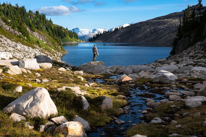 Whistler Guided Day Hiking - Whistler Mountain, guided: the point is the viewpoints
