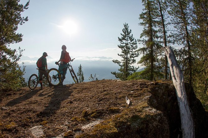 Whistler Half-Day Mountain Bike Tour - Key things I’d watch before you go