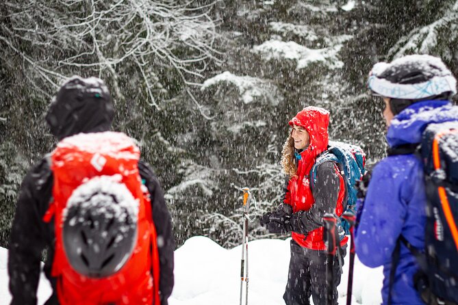Whistler Intro to Backcountry Skiing and Splitboarding - Why This Whistler Backcountry Intro Feels Worth It