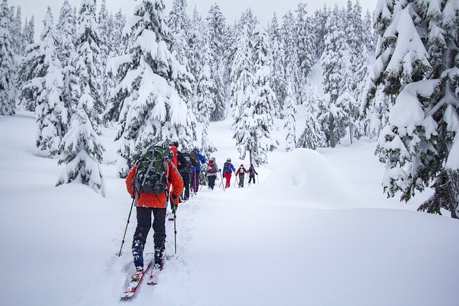 Whistler Intro to Backcountry Skiing and Splitboarding - Skiing and Splitboarding Improvements, Not Just Powder Chasing