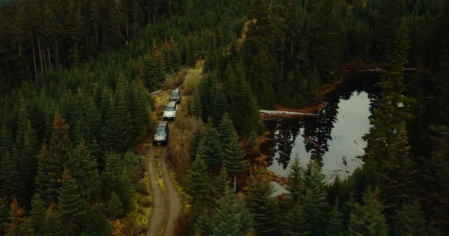 Whistler: Morning with the Bears Land Rover Scenic Excursion - Why a Whistler morning bear Land Rover drive is different