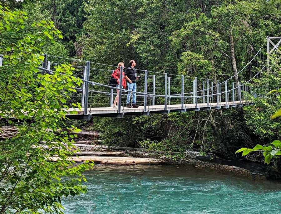 Whistler: Morning with the Bears Land Rover Scenic Excursion - Where the Coastal Mountain Range viewpoints fit the wildlife search