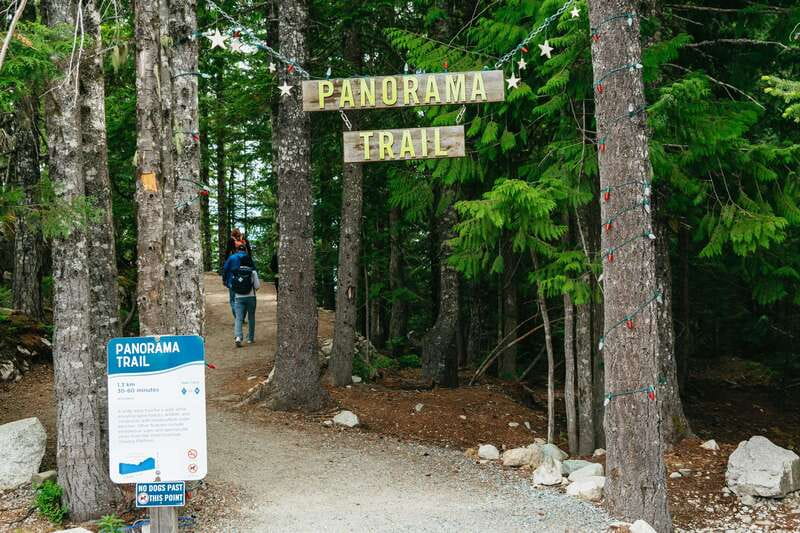 Whistler, Sea to Sky Gondola, and Shannon Falls Day Trip - Small Tips That Make This Tour Feel Easier