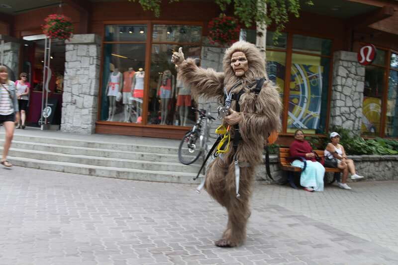 Whistler: The Longest Zipline in North America - The Zip Itself: Speed, Wind, and Fitzsimmons Valley Views
