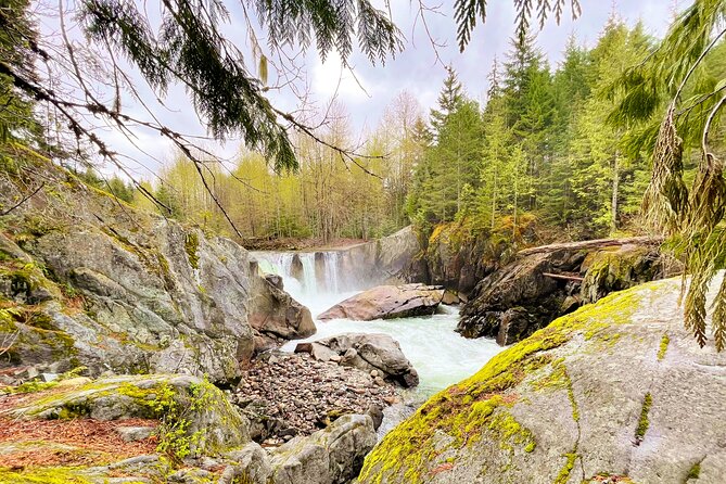 Whistler Train Wreck, Suspension Bridge & Hidden Waterfall Adventure - Meeting at Gondola Transit Exchange, Then Out the Door