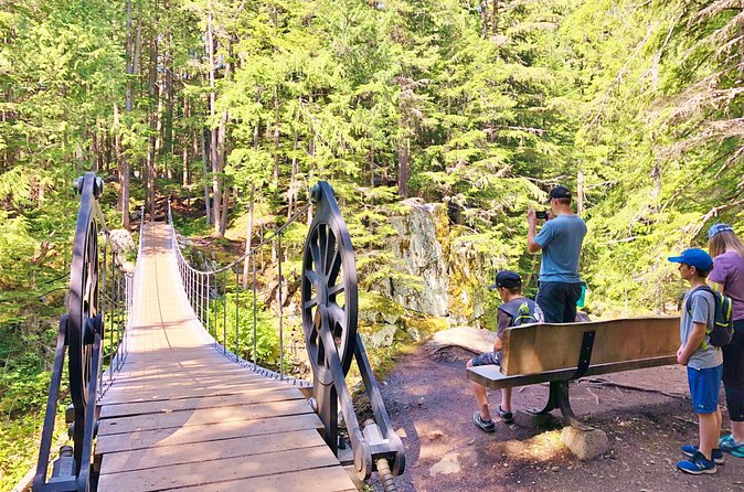 Whistler Train Wreck, Suspension Bridge & Hidden Waterfall Adventure - Should You Book Whistler Valley Tours?