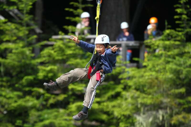 Whistler Zipline Experience: Ziptrek Bear Tour - Suspension Bridge to Big Doug, the Douglas Fir moment