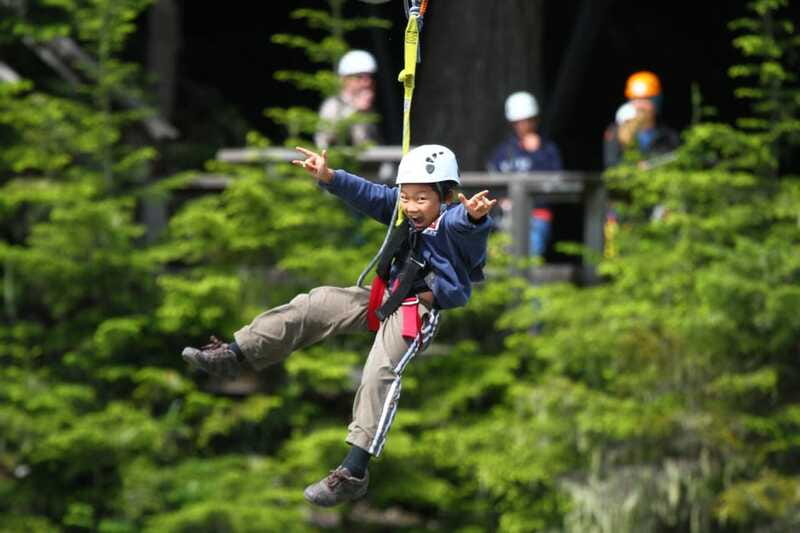 Whistler Zipline Experience: Ziptrek Bear Tour - Learning the rainforest and Whistler community along the course