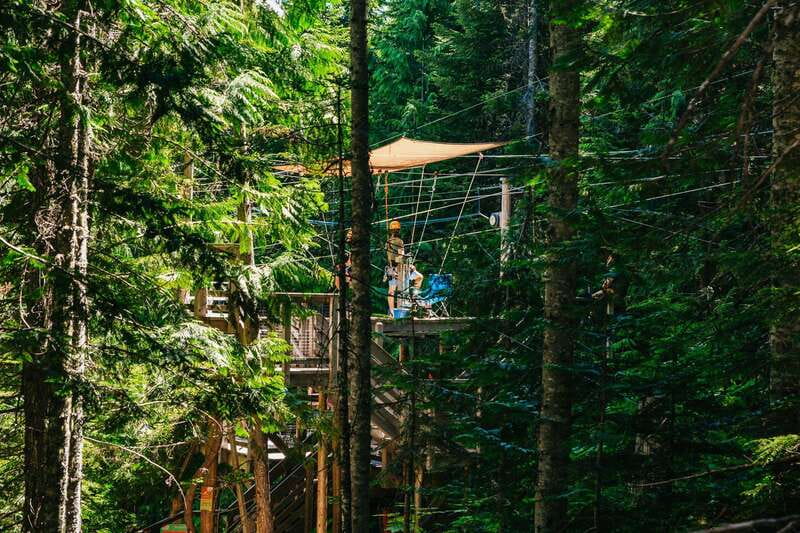 Whistler: Ziplining Experience - Five Ziplines and Four Treetop Bridges: What the Course Feels Like