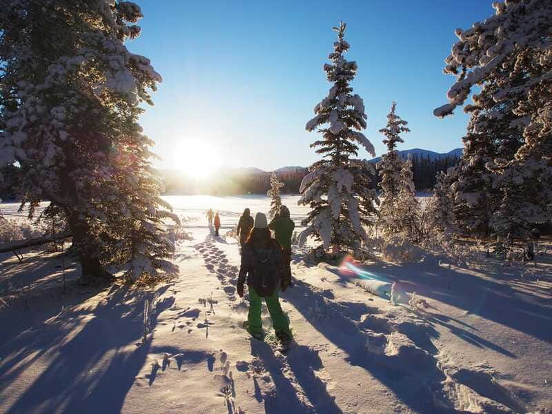 Whitehorse: Half-Day Snowshoeing Tour - Who This Tour Suits Best (and Who Should Skip It)