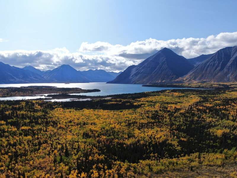 Whitehorse: Kluane - Wildlife & Vistas - Key points to know before you go