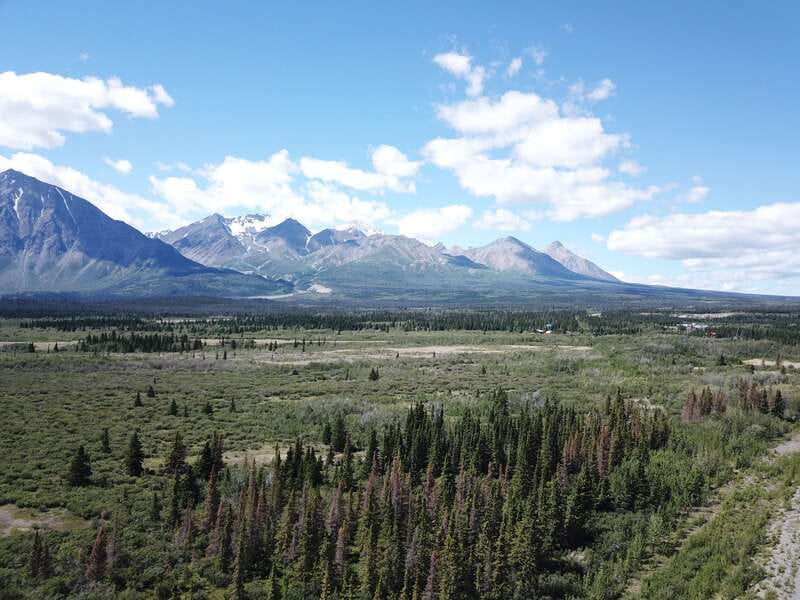 Whitehorse: Kluane - Wildlife & Vistas - Whitehorse to Kluane, and why the Alaska Highway drive matters