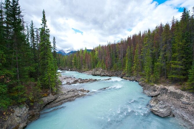 Whitewater Rafting Adventure | Kicking Horse River - Key things that make this rafting trip worth your time
