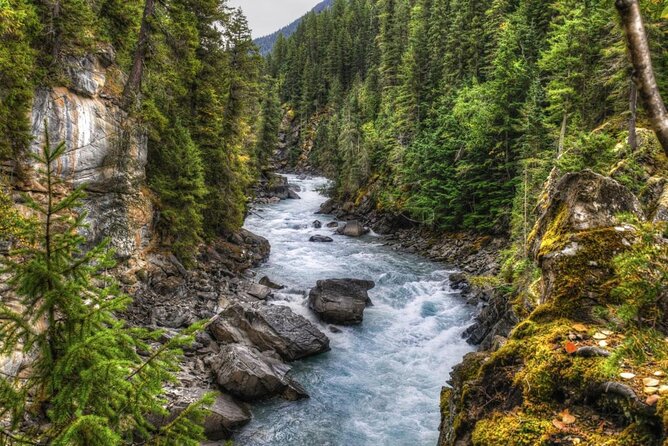 Whitewater Rafting on Jasper's Fraser River - Key points before you go