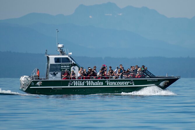 Wild Whale Watching Experience - Open Air Vessel - From Granville Island to the Strait of Georgia: How the Search Unfolds