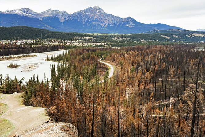 Wildfire Peak Nic - Key points before you go