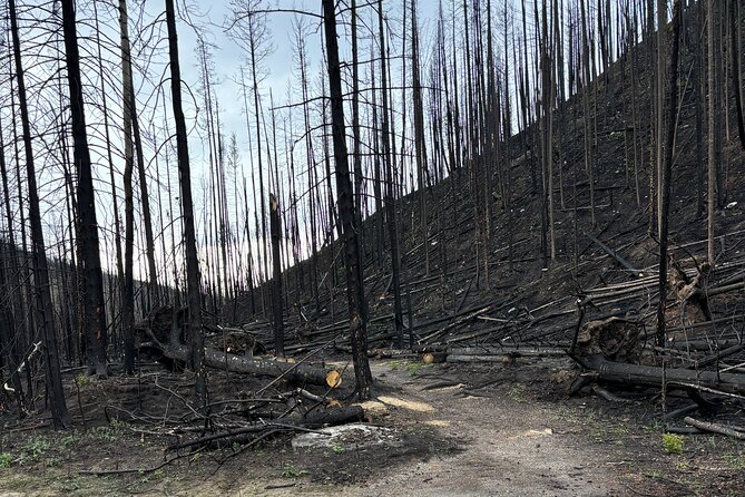 Wildfire Peak Nic - Who should book Wildfire Peak-Nic?