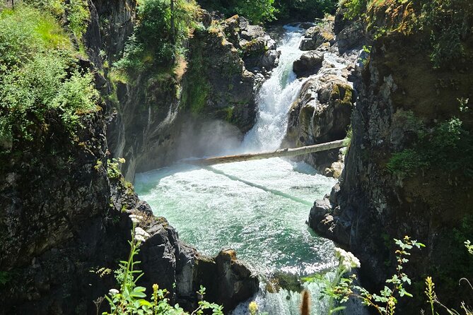 Wildlife, Waterfalls, Caves, Old Growth on Vancouver Island - Key moments you should care about