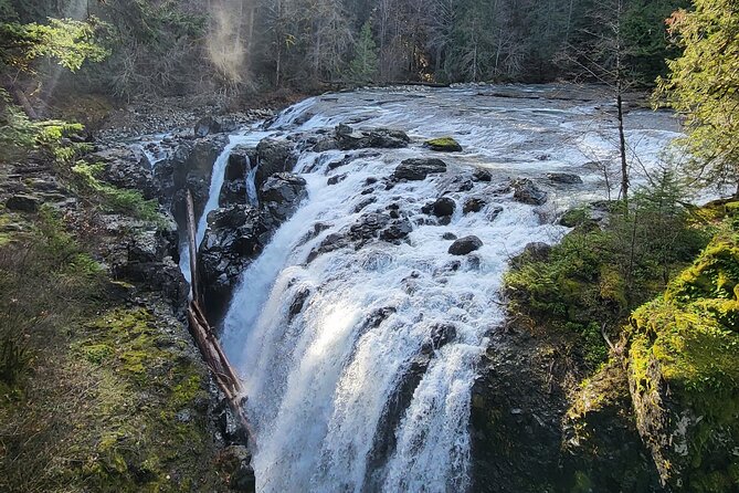 Wildlife, Waterfalls, Caves, Old Growth on Vancouver Island - Horne Lake Caves: Headlamps, Narrow Passages, and the No-Frills Reality of Caving
