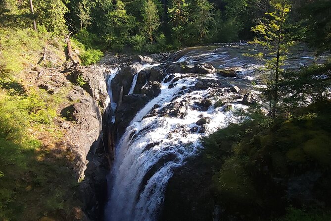 Wildlife, Waterfalls, Caves, Old Growth on Vancouver Island - Little Qualicum Falls: A Wild Horseshoe Bend Power Tumble