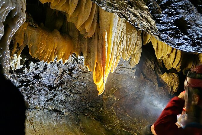 Wildlife, Waterfalls, Caves, Old Growth on Vancouver Island - Why Salmon-Bearing Rivers and Old Growth Go Together on This Tour