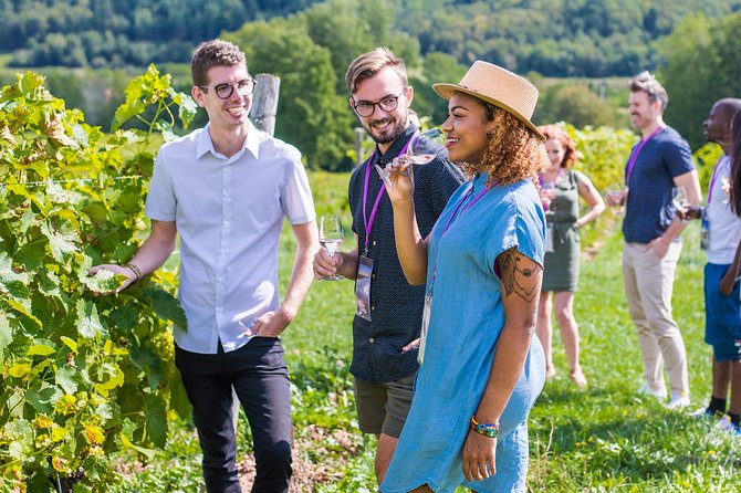 Wine and Lunch Escape - Stop one: first guided tasting, set the baseline