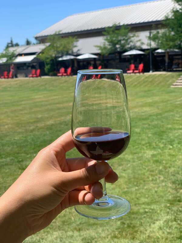 Wine & Cheese Afternoon Wine Tours in NOTL - Three Award-Winning Wineries, Plus the Wine-Making Lesson