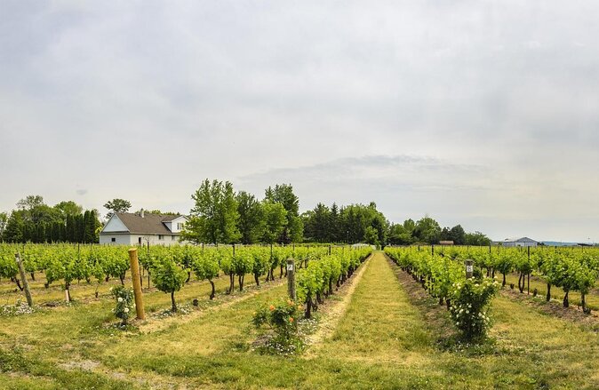 Wine, Cheese, Chocolate 6 Hour Tasting Tour with Lunch - Key highlights I’d plan around