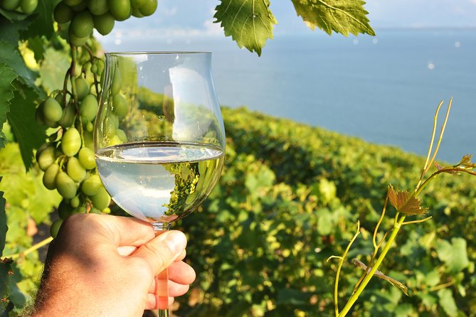 Wine Tasting and lavender Farm Tours - Key highlights worth planning for
