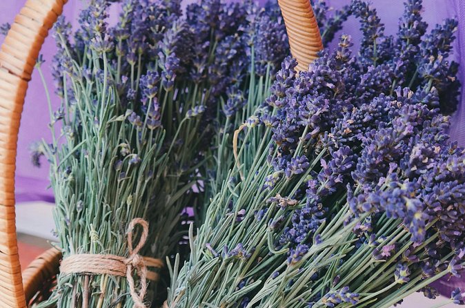 Wine Tasting and lavender Farm Tours - Learning the wine-making process, plus what to listen for