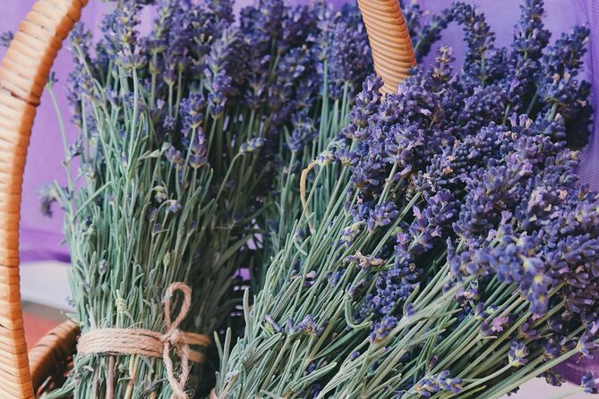 Wine Tasting and lavender Farm Tours - First Niagara-on-the-Lake stop: easing into the wine country mood