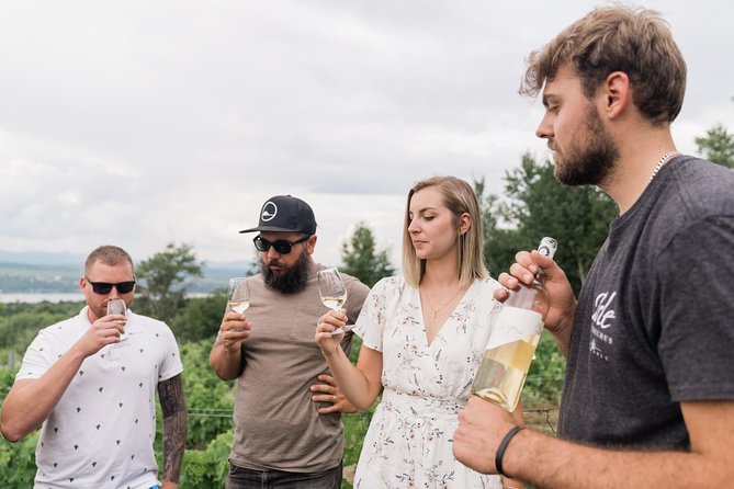 Wine Tasting on Ile d'Orleans - Stop 2: Vignoble du Mitan for apples, grounds, and comparisons