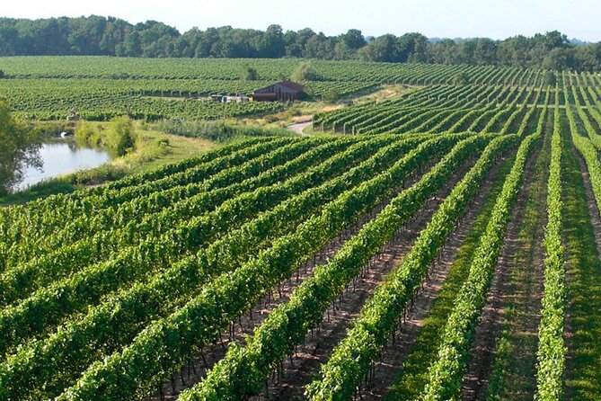 Wine Tour in Niagara-on-the-Lake - Price and value for a 5.5-hour half-day