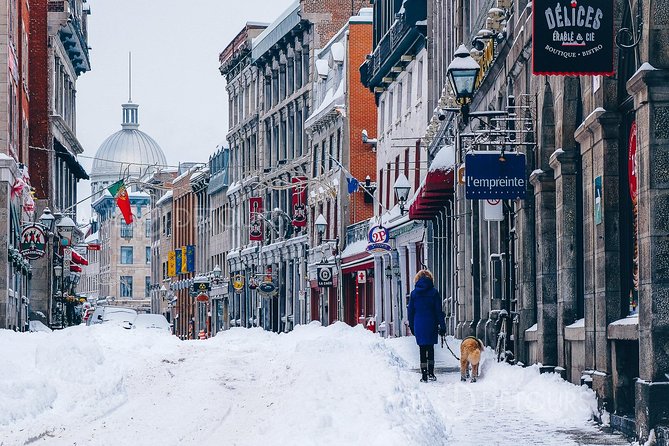 Winter Express: Old Montreal Highlights Walking Tour - The guide’s role: local context plus practical advice