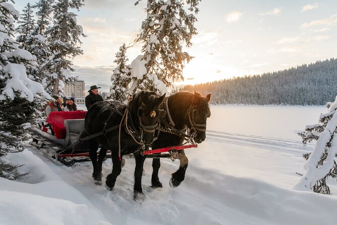 Winter Trip: Lake Louise, Marble Canyon, Emerald Lake, Banff - Banff town window: hot-springs energy without the full-day commitment