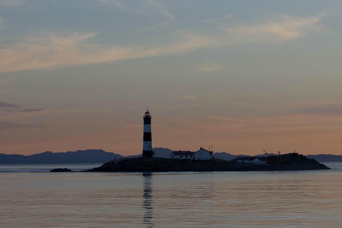 Winter Victoria Whale and Wildlife Zodiac Tour - Learning with a certified marine naturalist: what you’ll understand by the end