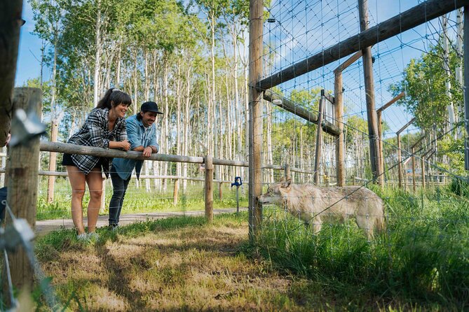 Yamnuska Wolfdog Sanctuary Walk Ticket in Canada - What the Signage Teaches You About Wolfdogs and Why This Place Exists
