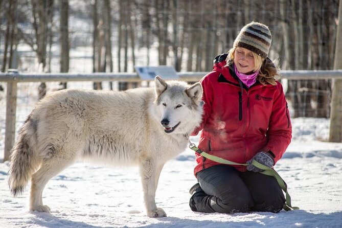Yamnuska Wolfdog Sanctuary Walk Ticket in Canada - Souvenirs, Charity Support, and Why This Feels Like More Than a Ticket