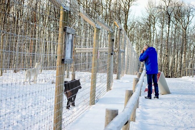 Yamnuska Wolfdog Sanctuary Walk Ticket in Canada - Price and Value: How $29.27 Adds Up for What You Get